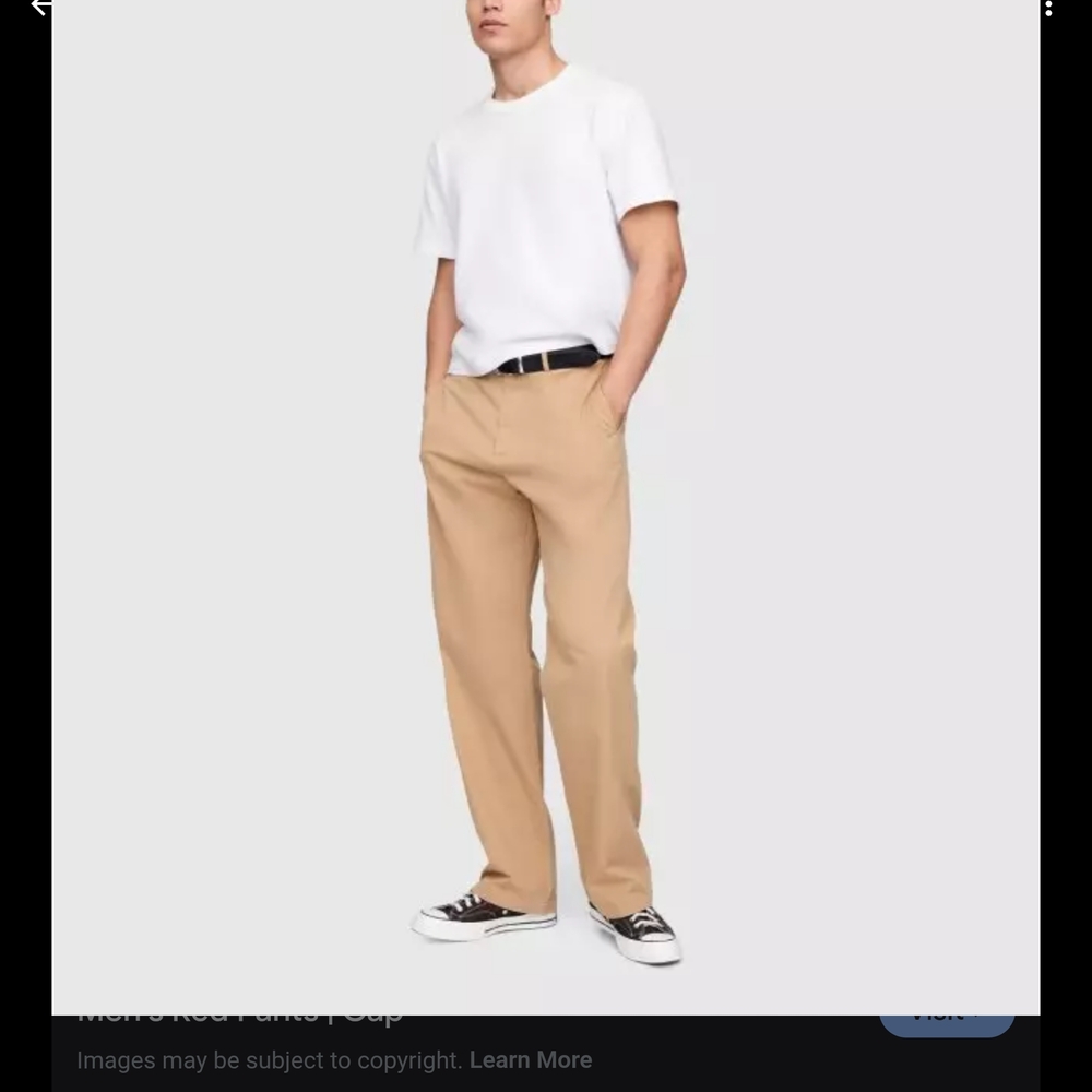 GAP Men's Khaki Chinos